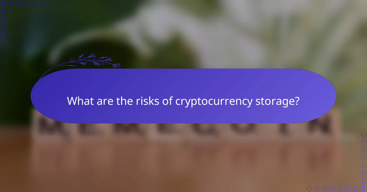 What are the risks of cryptocurrency storage?